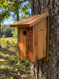 Blue Bird House