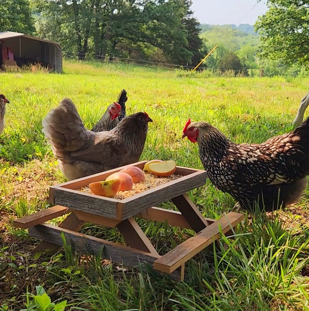 Chicknic Table