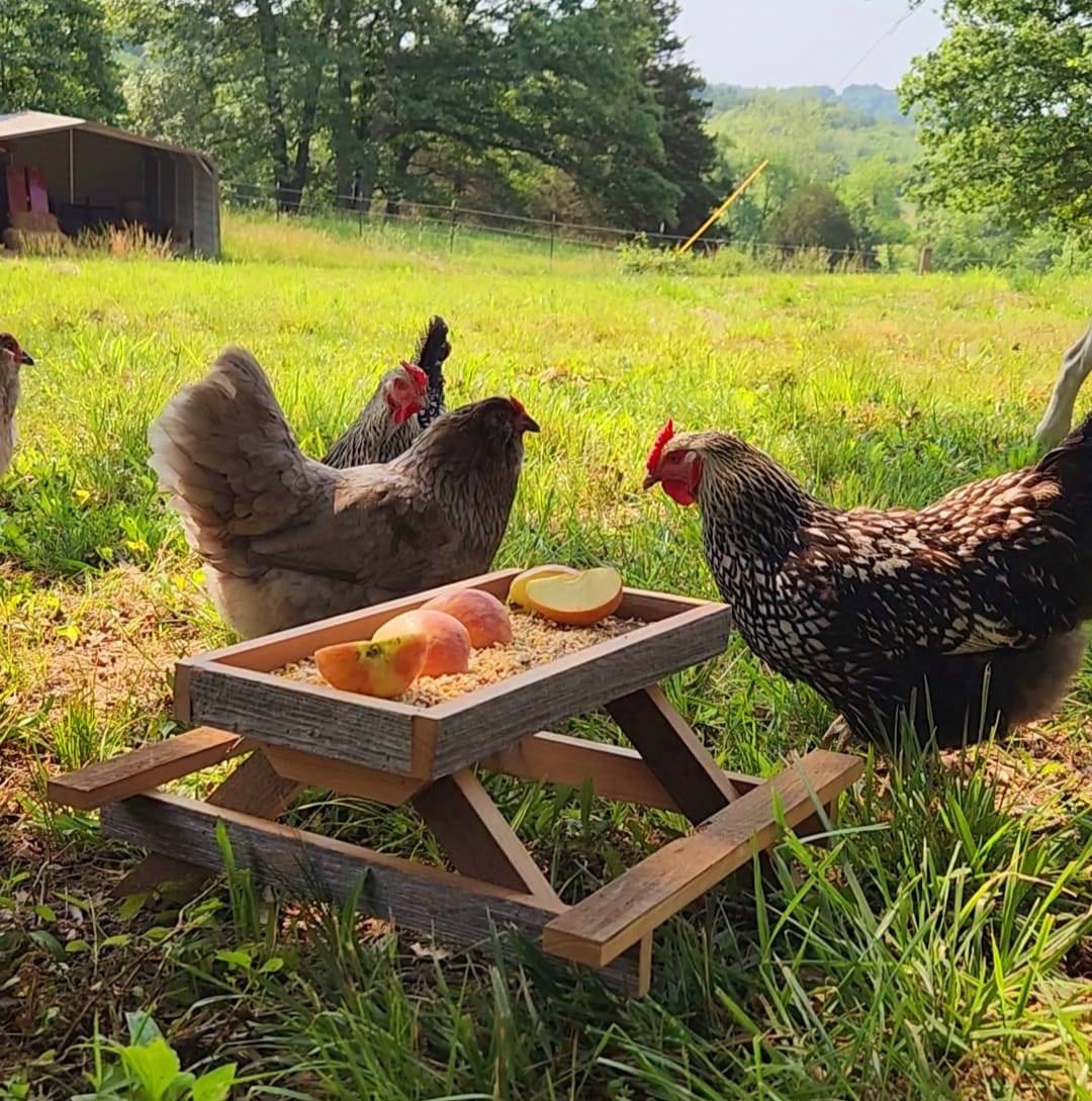 Chicknic Table
