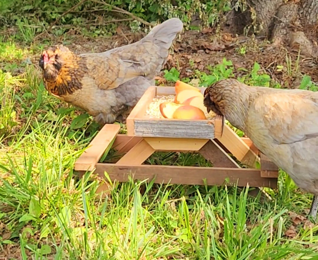 Chicknic Table