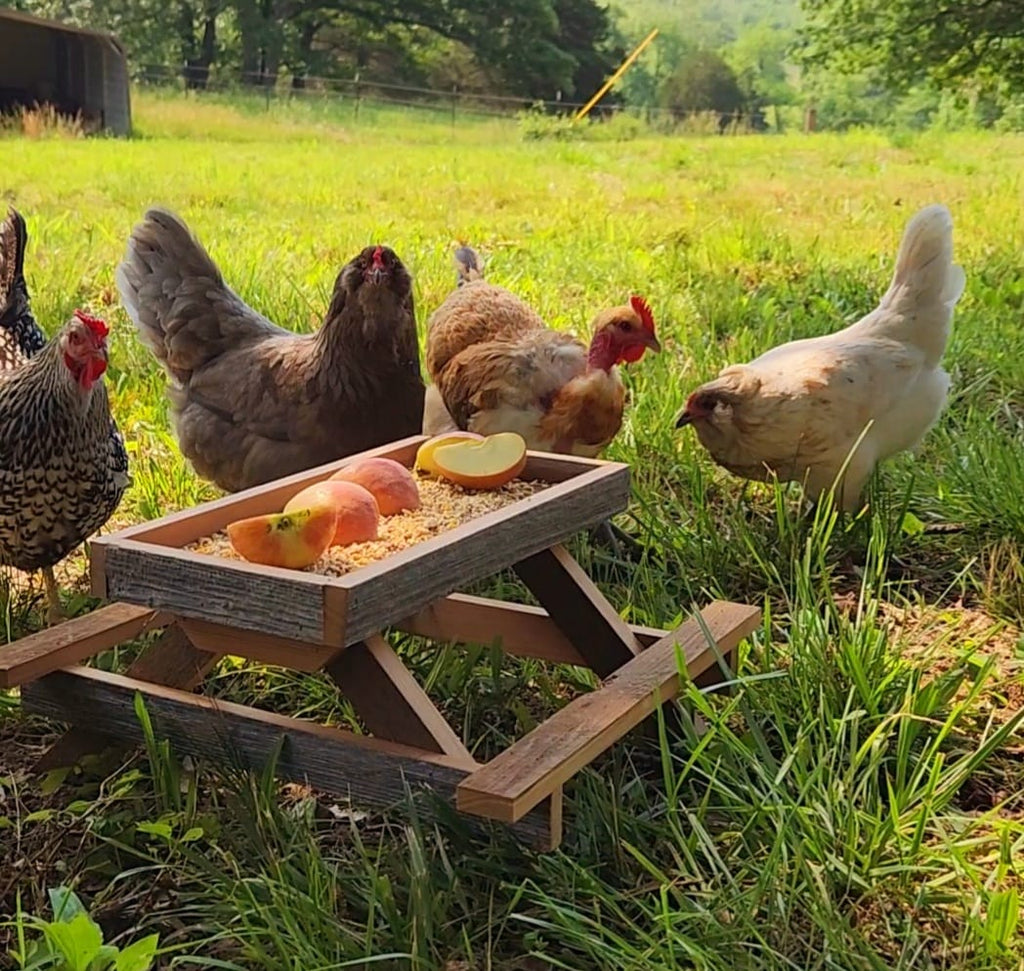 Chicknic Table